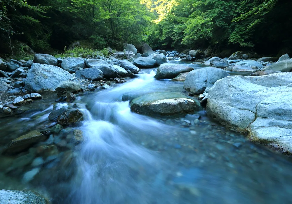 黑坑装备选择：正钓偷驴的竿线搭配 閰嶅浘