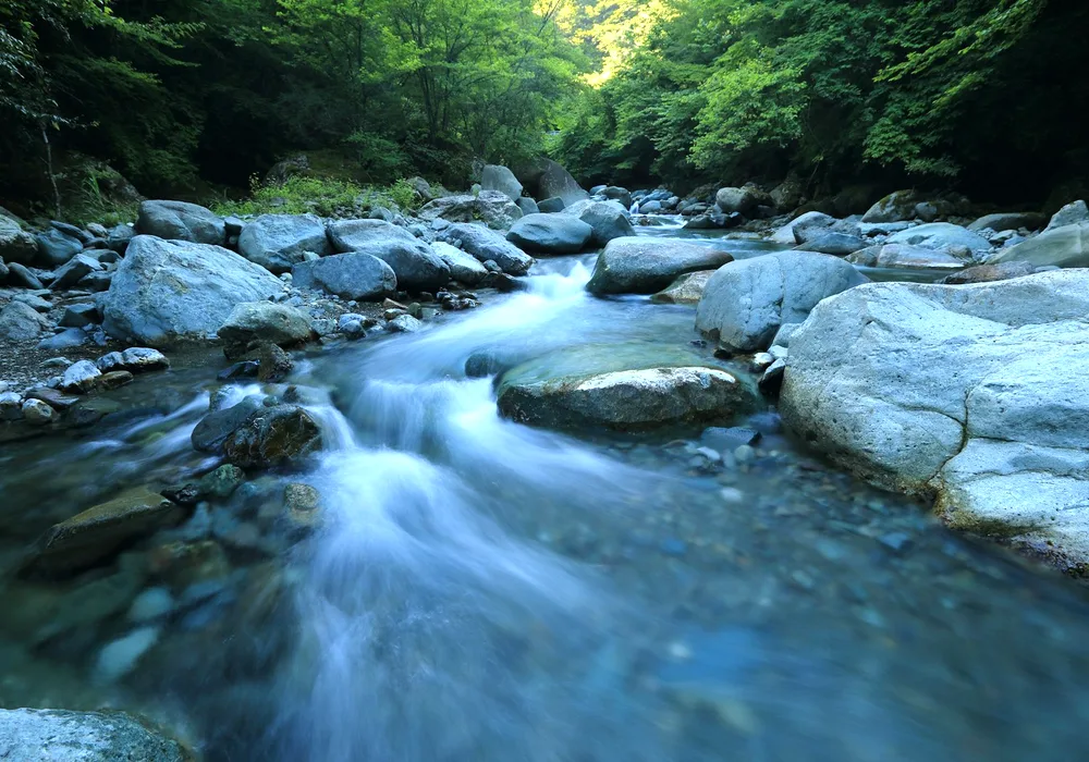 野钓选位:进水口与出水口的区别 閰嶅浘