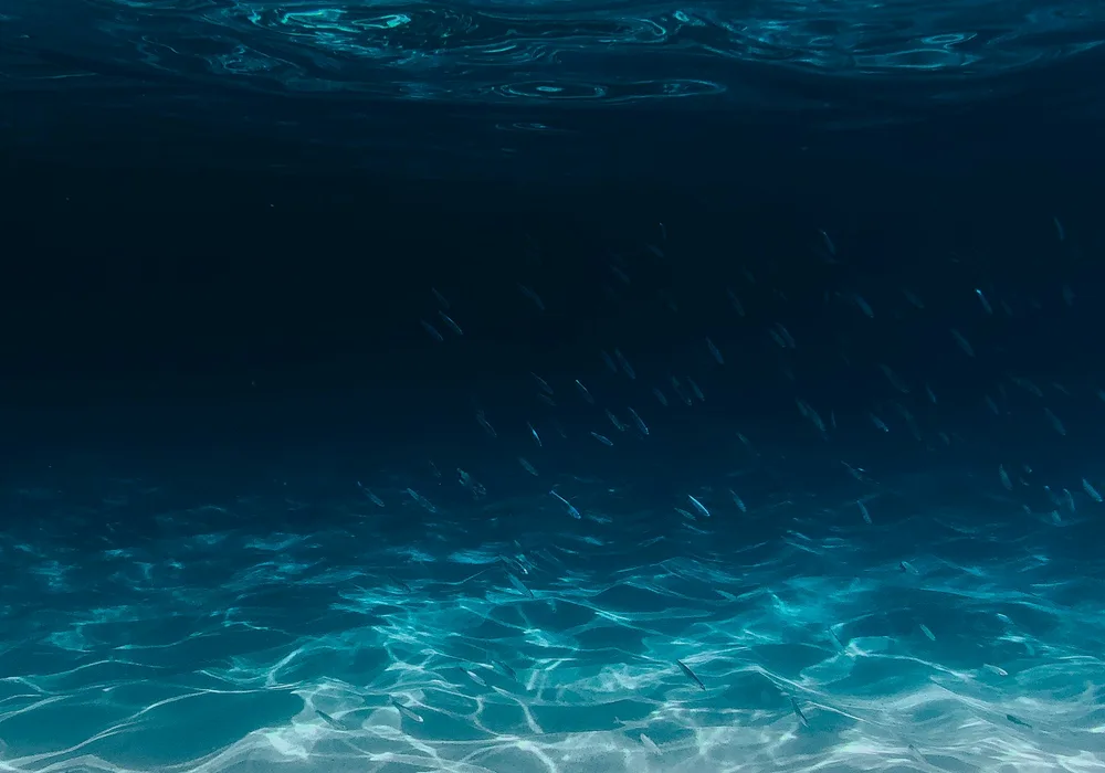 海钓潮汐怎么看:涨潮退潮的作钓窗口 閰嶅浘